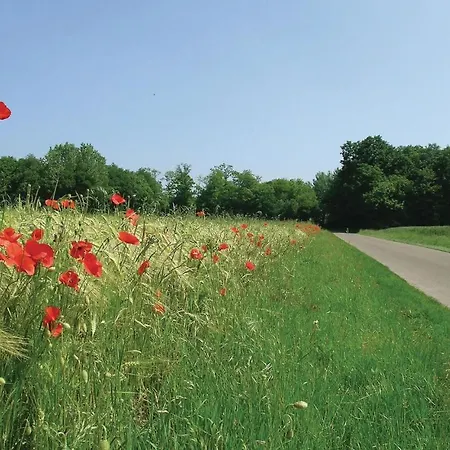 Gorgeous In With Kitchen *